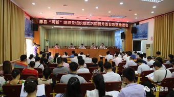 组织部 组织架构与职责解析