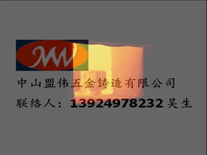 广东食品级不锈钢铸造专家 中山盟伟的316不锈钢脱蜡铸造工艺